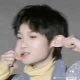 不做嗜睡小狗