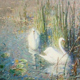 Place je Passe