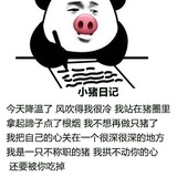 🐽