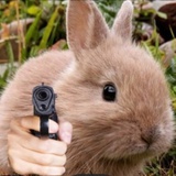 叶修（养胃中）