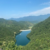陋巷之春88