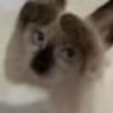 ？？