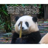 腿腿（已复活）