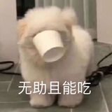 哈哈哈