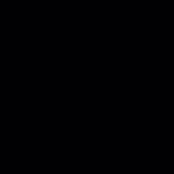张星特