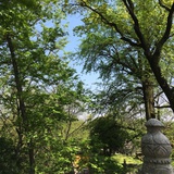 小饼