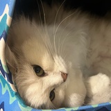 村里俗人
