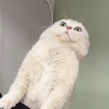 晚霄