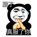 哈哈哈哈哈哈