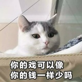杠我就是你对