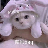 想啥呢