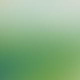 盲目爱江