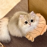 momo