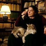 团团你说句话啊