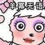 你的文字我心疼