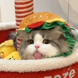 十七日