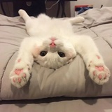 慕鋆