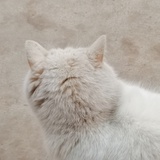 如瑜得水