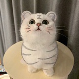 王娇娇