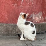 去吃好吃的吧