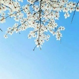 惠风和畅