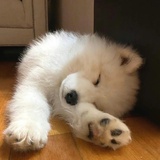 管理員