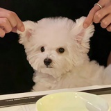 尖椒鸡