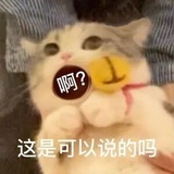 瑄瑄