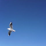 且听