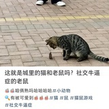 忒多人了