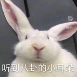 豆友209076395