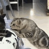 你爸爸