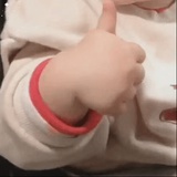 二十
