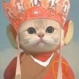 荔枝重度依赖