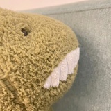 彼方尚有荣光在