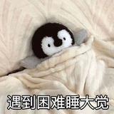 藏青盐咸奶绿