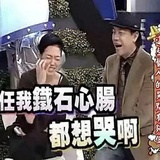 不理笨蛋