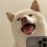 Nick