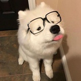 略略略