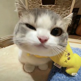 喂，在干嘛