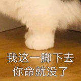 看不懂