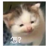 吴话可说