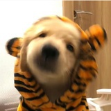NanAnnww.