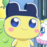 狗到家惹
