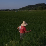 涤鉴