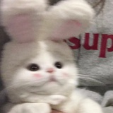 小甜甜。