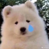 罐装可乐記