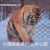思考说瞎话