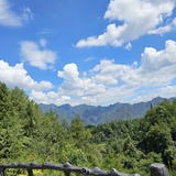 菠萝de海