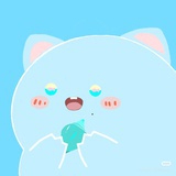 怪盗SaMomo